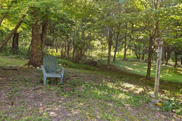 $260,000 | 591 Whaley Town Road, Butler, TN 37640