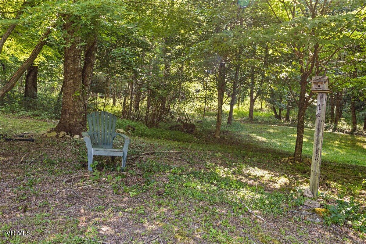 591 Whaley Town Road Butler, TN 37640 - Photo 14 of 41 31-128A0116