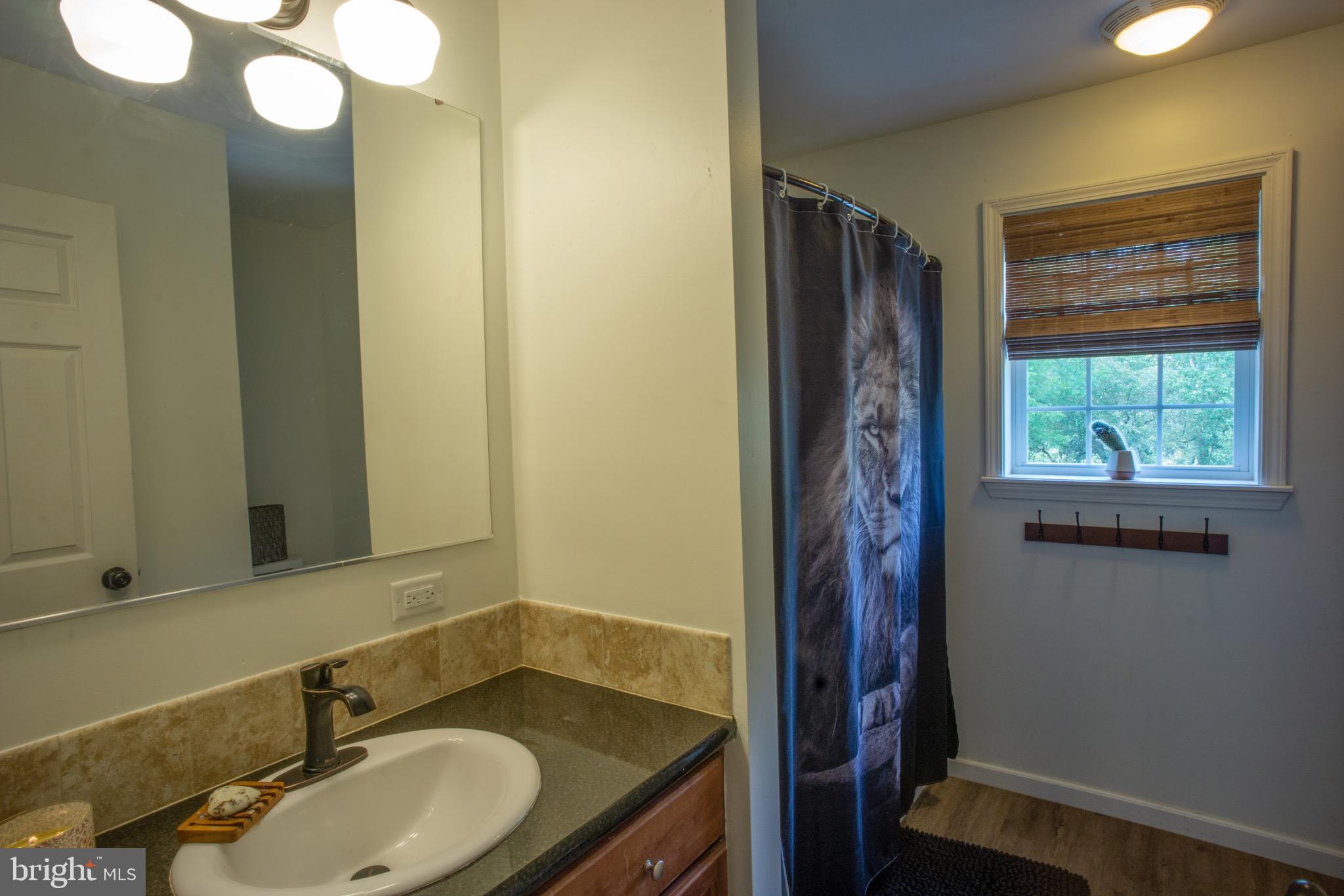 1164 Liberty Grove Road Conowingo, MD 21918 - Photo 20 of 30 Main bath