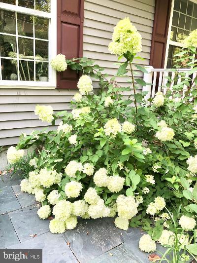 1164 Liberty Grove Road Conowingo, MD 21918 - Photo 28 of 30 Gallery Image 28