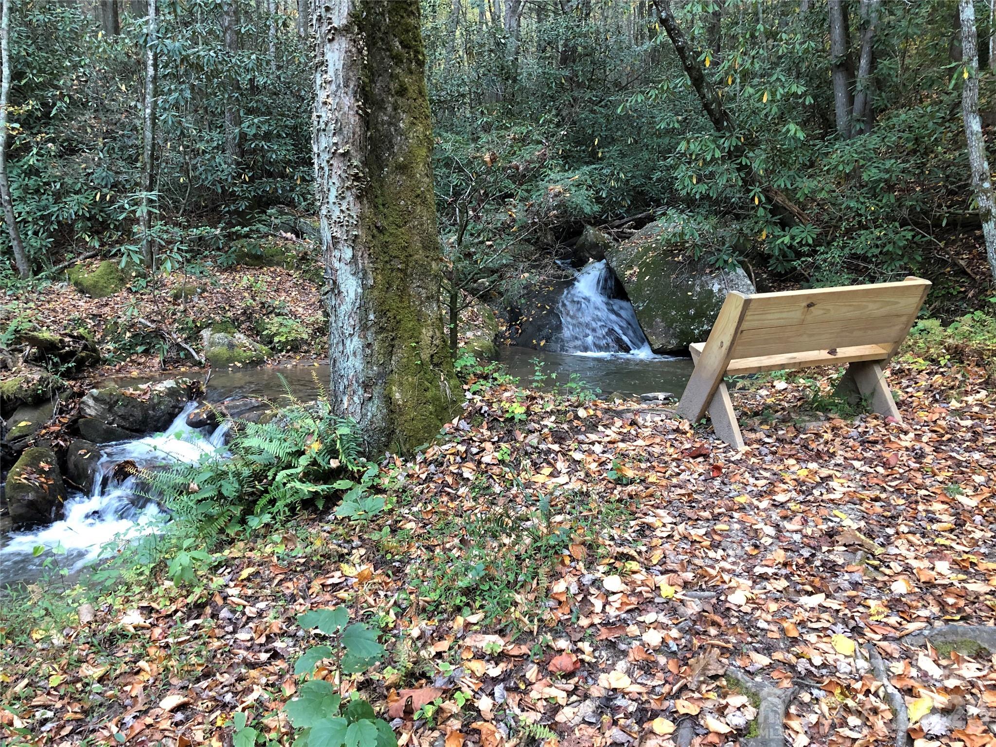 Tbd Casey Mountain Road, Unit 209 Purlear, NC 28665 - Photo 25 of 34