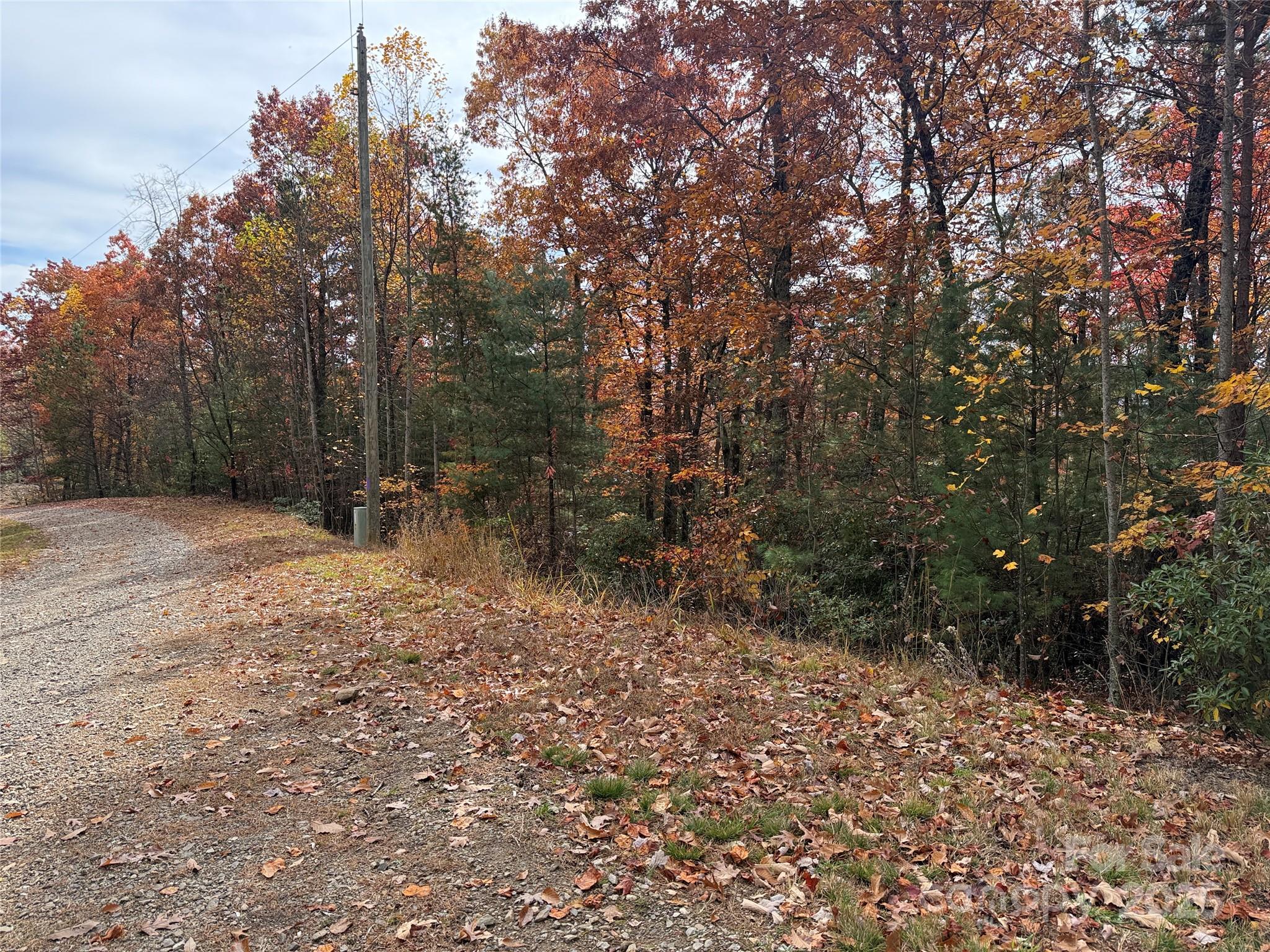 Tbd Casey Mountain Road, Unit 209 Purlear, NC 28665 - Photo 4 of 33 a view of outdoor space with trees