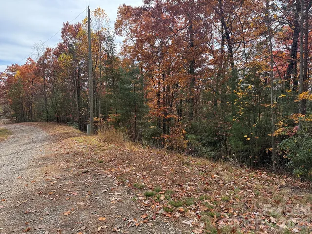 $59,900 | Tbd Casey Mountain Road, Unit 209, Purlear, NC 28665