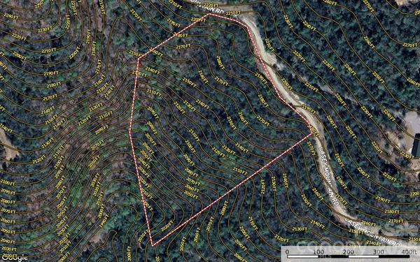 a city view with tall trees