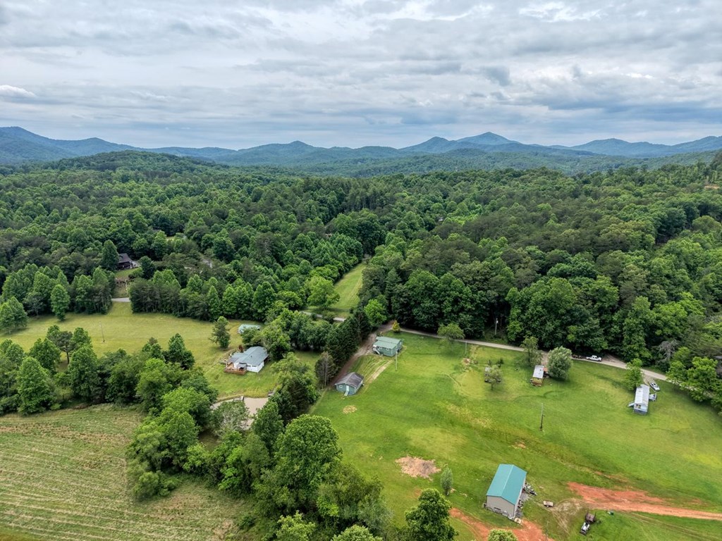 233 Messer Road Warne, NC 28909 - Photo 46 of 47