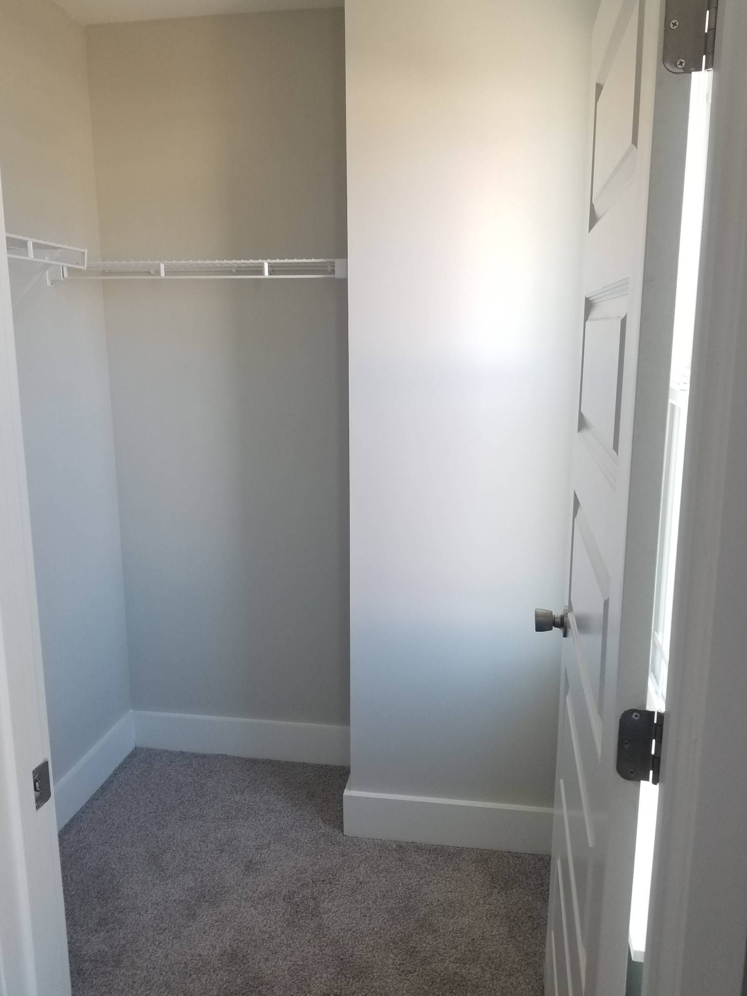 8014 Tuberose Court Spring Hill, TN 37174 - Photo 13 of 19