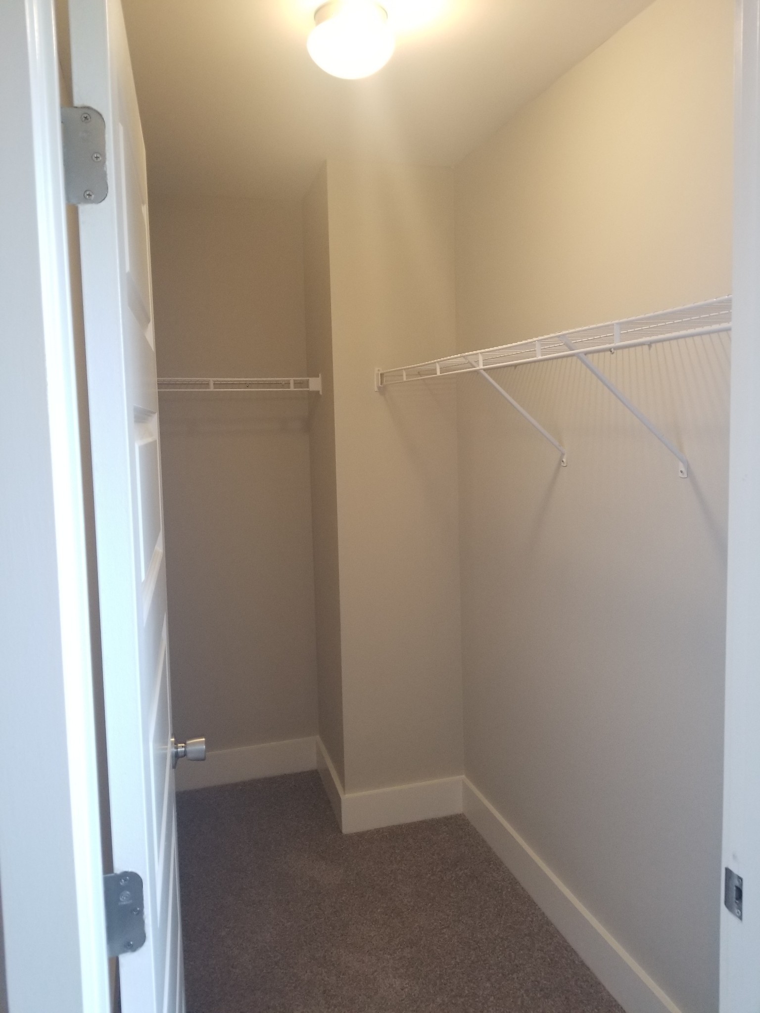 8014 Tuberose Court Spring Hill, TN 37174 - Photo 16 of 19