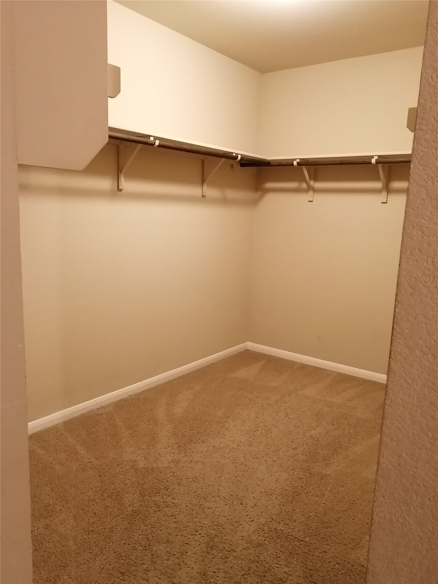 14313 Almodine Road Manor, TX 78653 - Photo 12 of 24