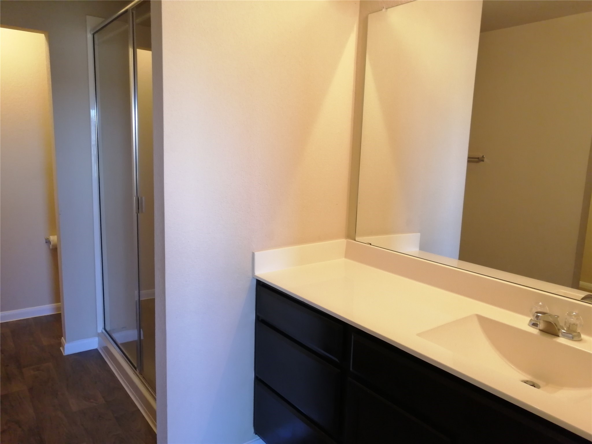 14313 Almodine Road Manor, TX 78653 - Photo 9 of 24