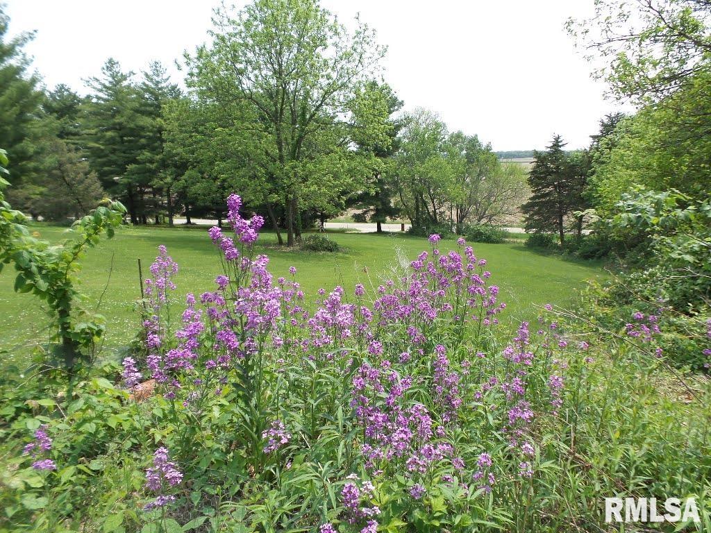 18829 North Old Galena Road Chillicothe, IL 61523 - Photo 47 of 51 Gallery Image 47