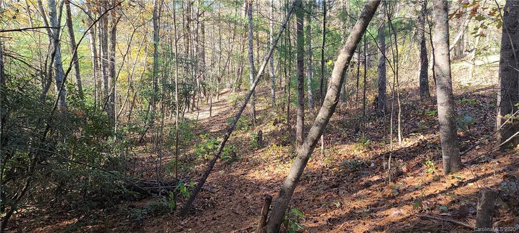4 Bethany Church Road, Unit 3 Fairview, NC 28730 - Photo 5 of 10 Gallery Image 5