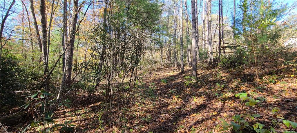 4 Bethany Church Road, Unit 3 Fairview, NC 28730 - Photo 7 of 10 Gallery Image 7