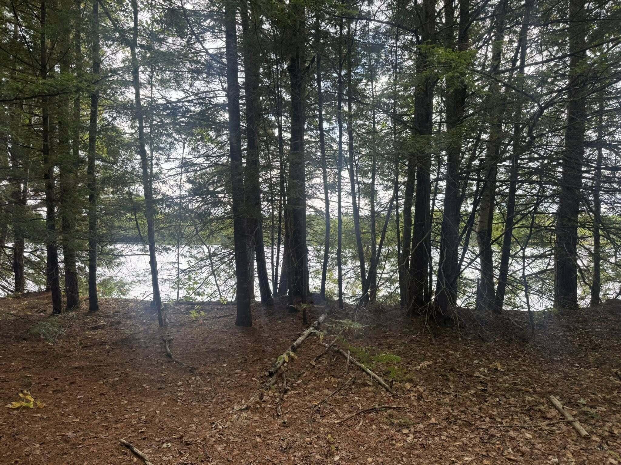 R08-l028 Gardner Lane Howland, ME 04448 - Photo 1 of 6 4_10172963475095427_810039105292245980_n