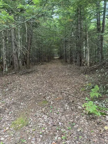 $115,000 | R08-l028 Gardner Lane, Howland, ME 04448