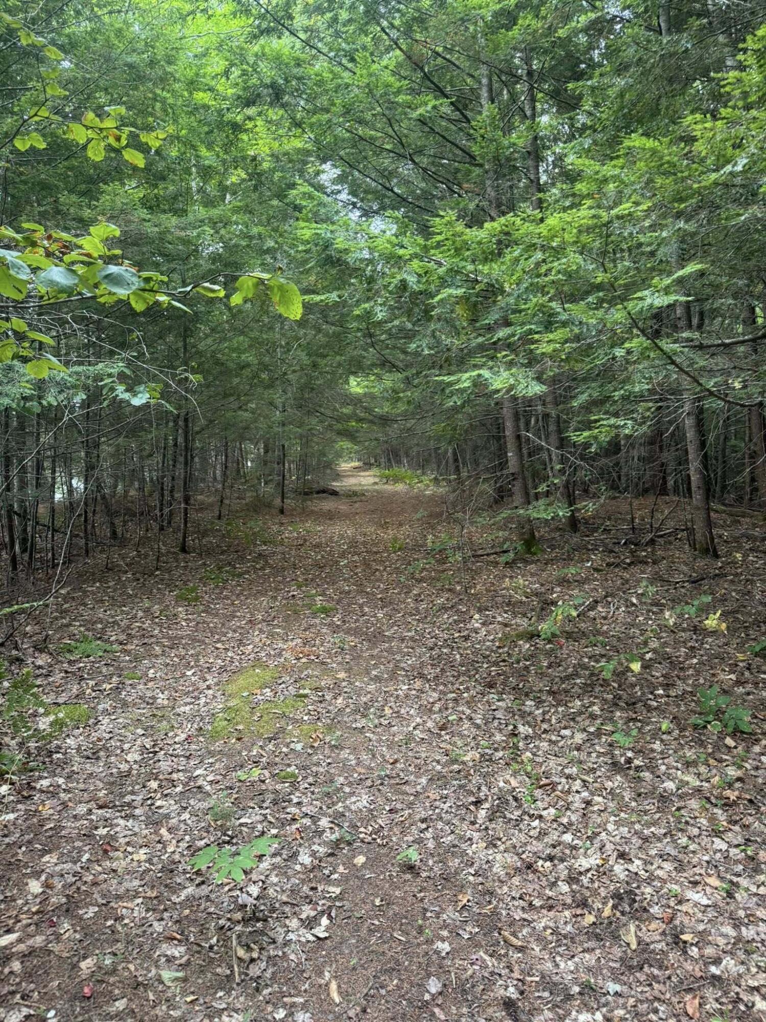 R08-l028 Gardner Lane Howland, ME 04448 - Photo 5 of 6 541141834_10172963475590427_898932337468