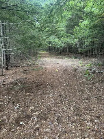 $115,000 | R08-l028 Gardner Lane, Howland, ME 04448