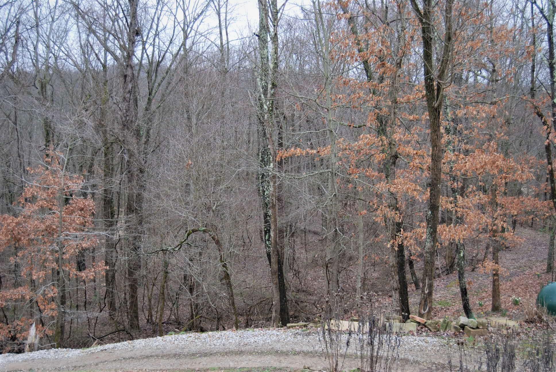 4120 Coon Ridge Road Chandlersville, OH 43727 - Photo 18 of 18