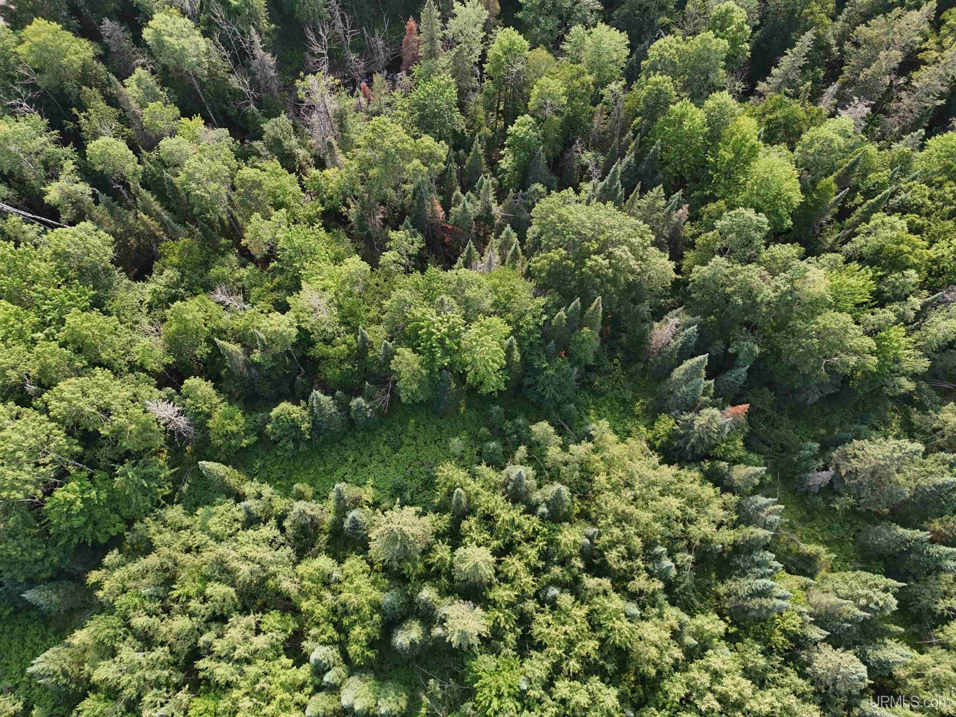 Tbd32 Skanee Road Lanse, MI 49946 - Photo 16 of 23