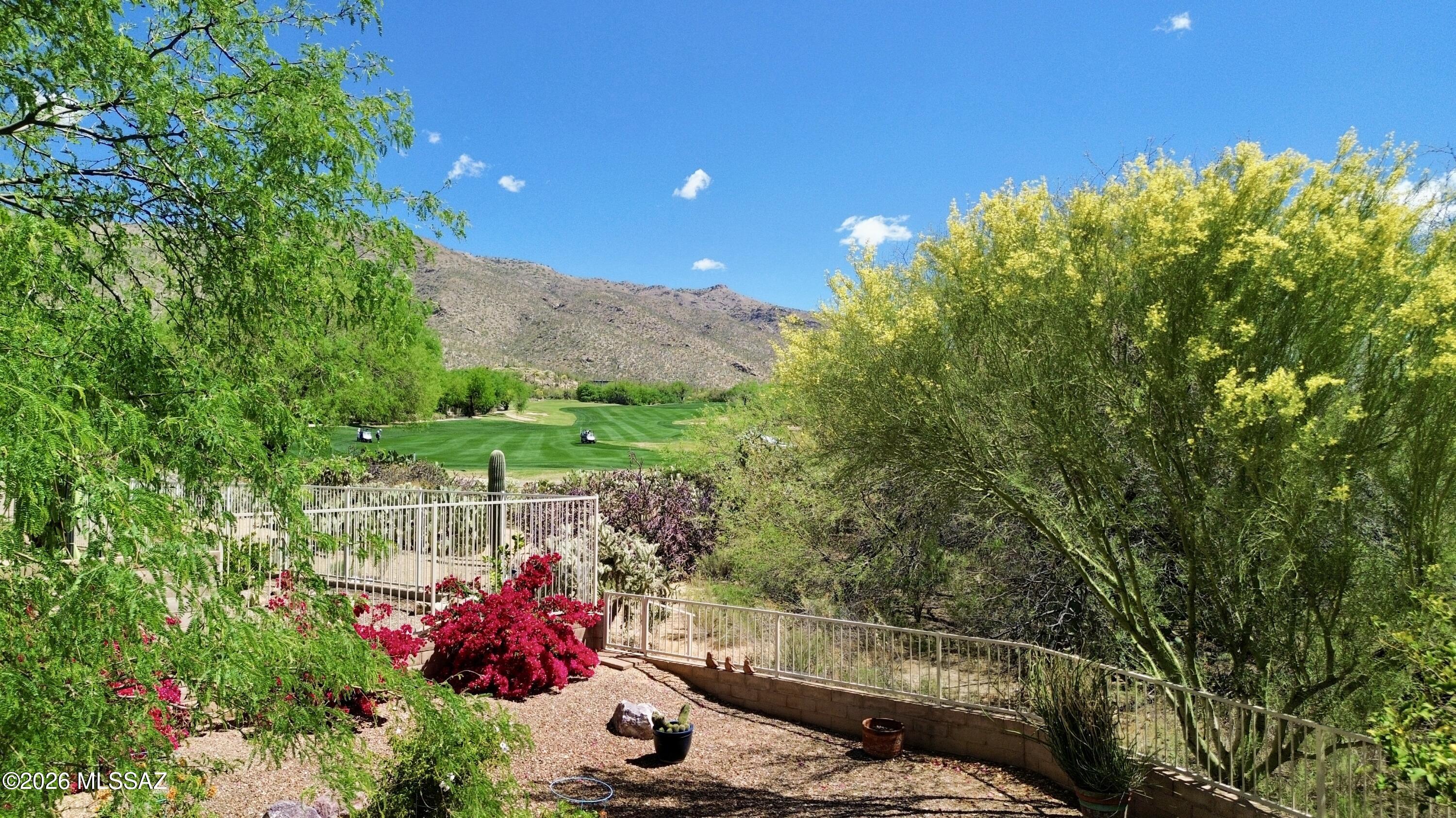 5202 Spring View Drive Tucson, AZ 85749 - Photo 1 of 49 a backyard of a house with lots of green space