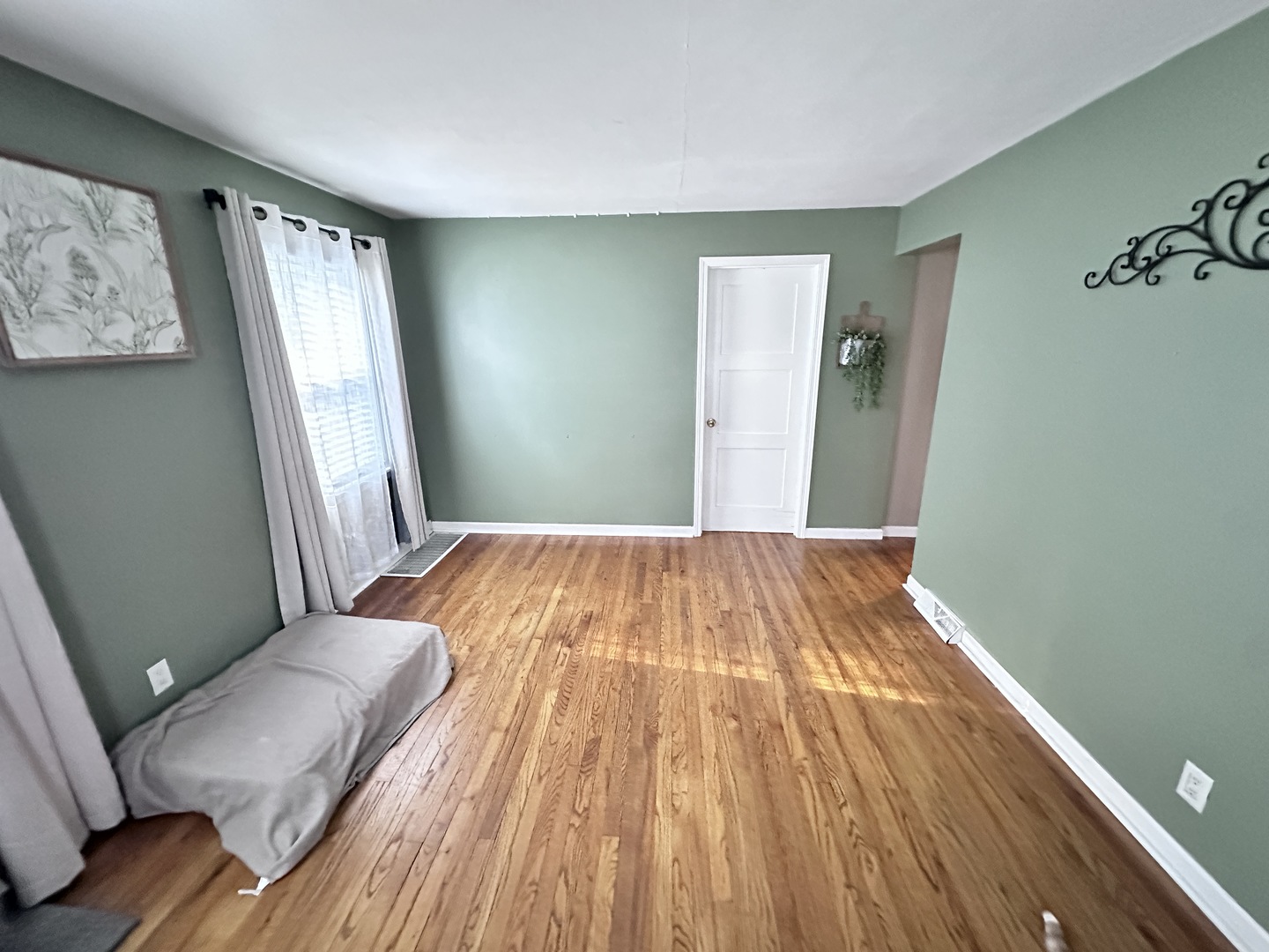 490 South Alfred Avenue Elgin, IL 60123 - Photo 3 of 20