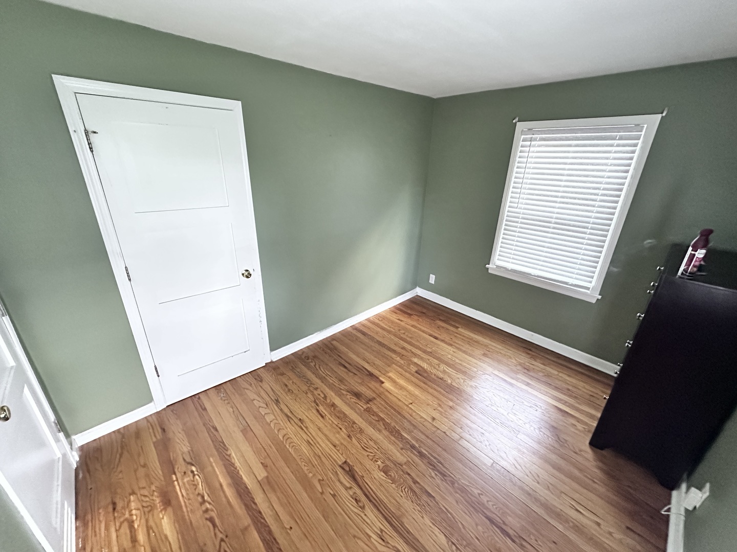 490 South Alfred Avenue Elgin, IL 60123 - Photo 9 of 20