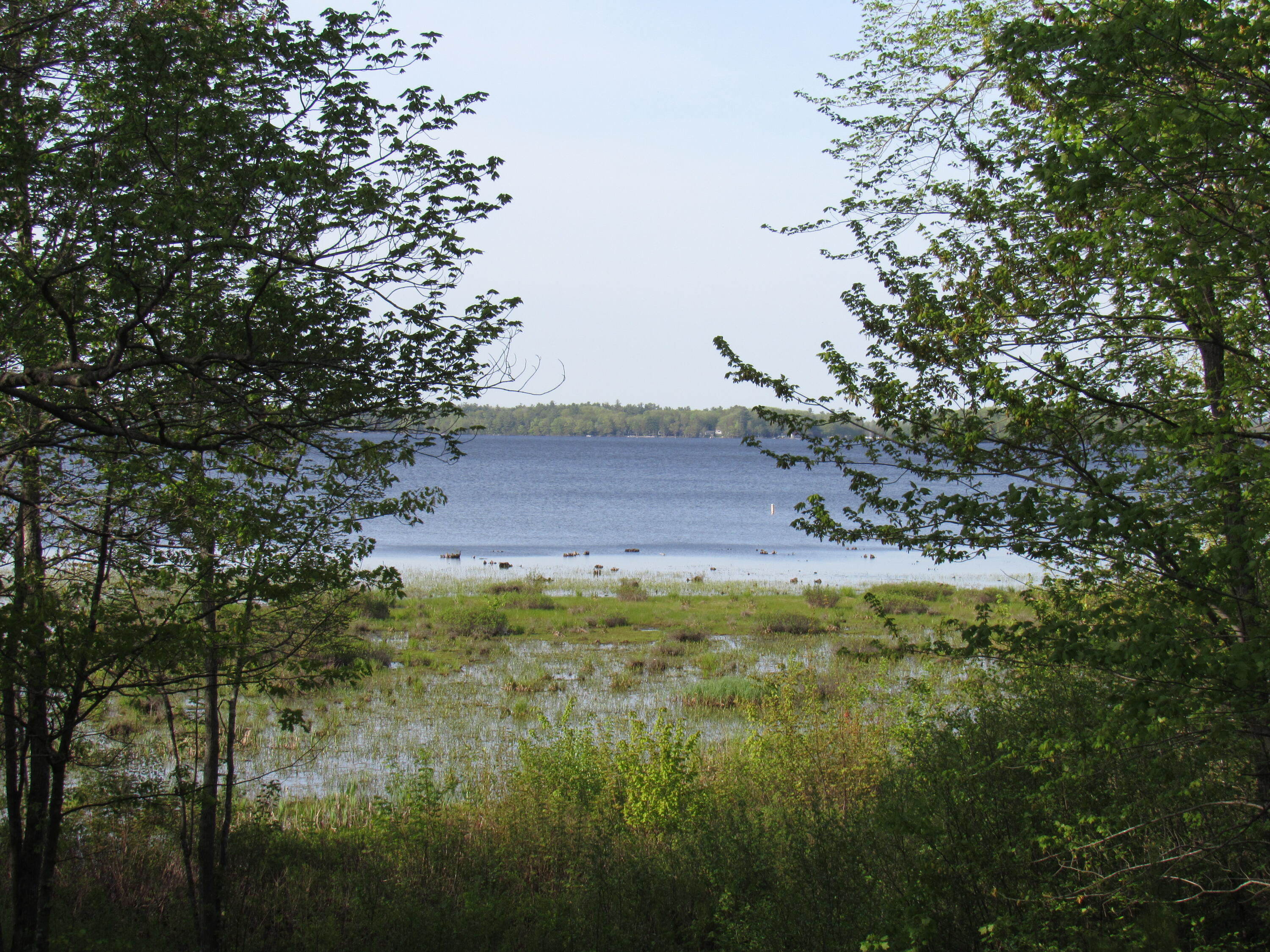 114 Aa Landing Road Glenburn, ME 04401 - Photo 31 of 32 IMG_0019