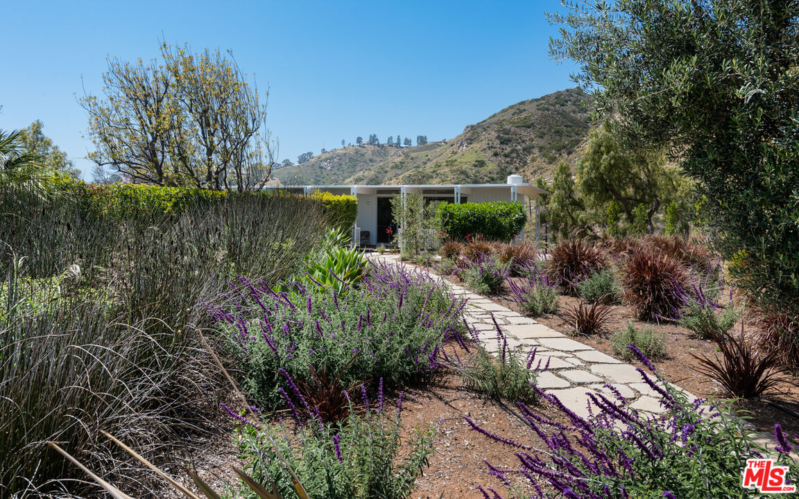 3431 Coast View Drive Malibu, CA 90265 - Photo 37 of 49 a view of a garden with plants