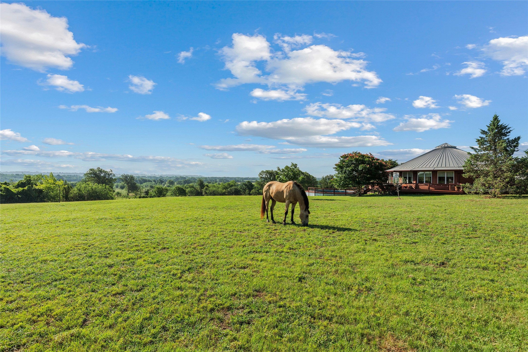 Multiple cross-fenced pastures.