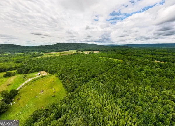 $42,500 | 0 Double Pond Trail, Unit TRACT 1, Hayden, AL 35079