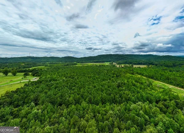 $42,500 | 0 Double Pond Trail, Unit TRACT 1, Hayden, AL 35079