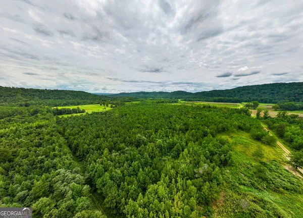 $42,500 | 0 Double Pond Trail, Unit TRACT 1, Hayden, AL 35079