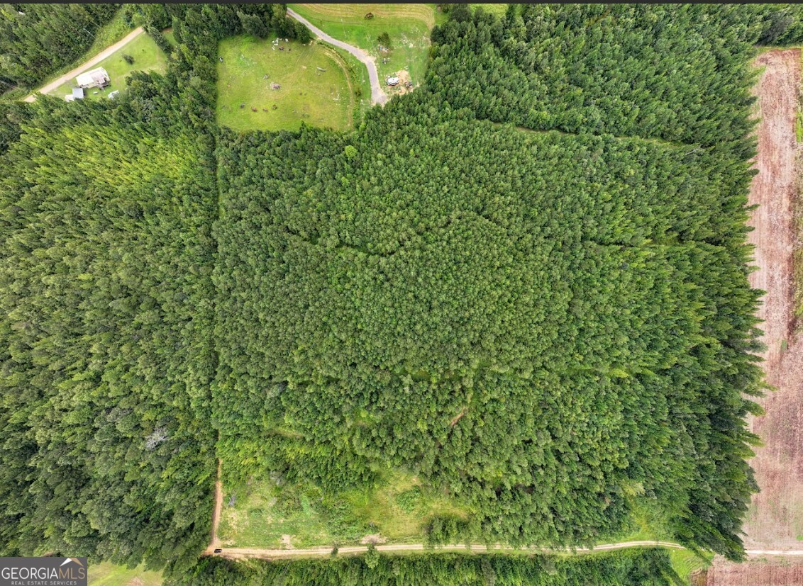 0 Double Pond Trail, Unit TRACT 1 Hayden, AL 35079 - Photo 14 of 24