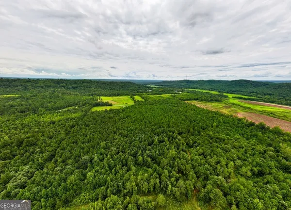 $42,500 | 0 Double Pond Trail, Unit TRACT 1, Hayden, AL 35079