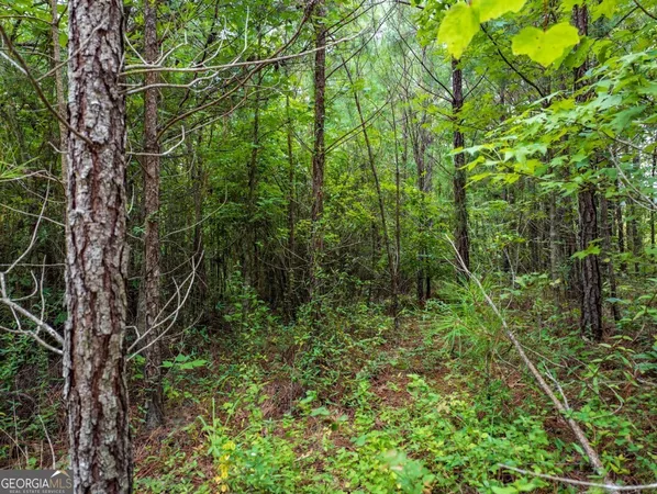 $42,500 | 0 Double Pond Trail, Unit TRACT 1, Hayden, AL 35079