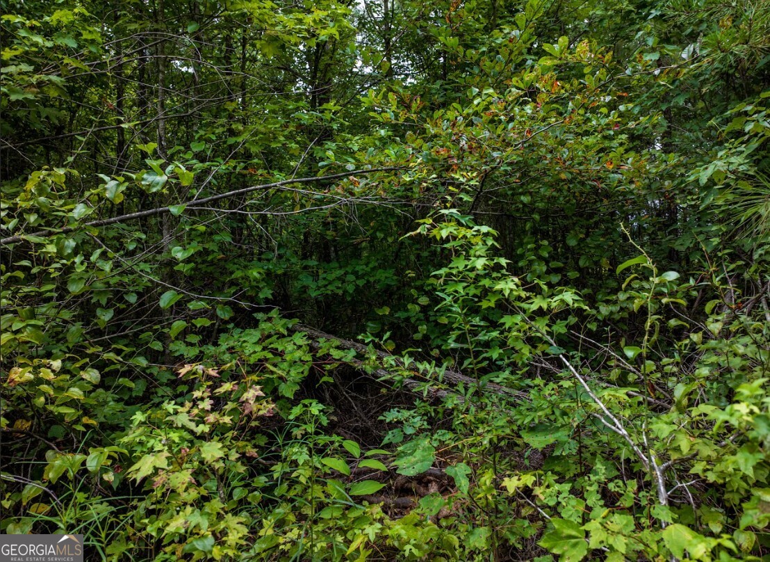 0 Double Pond Trail, Unit TRACT 1 Hayden, AL 35079 - Photo 17 of 24