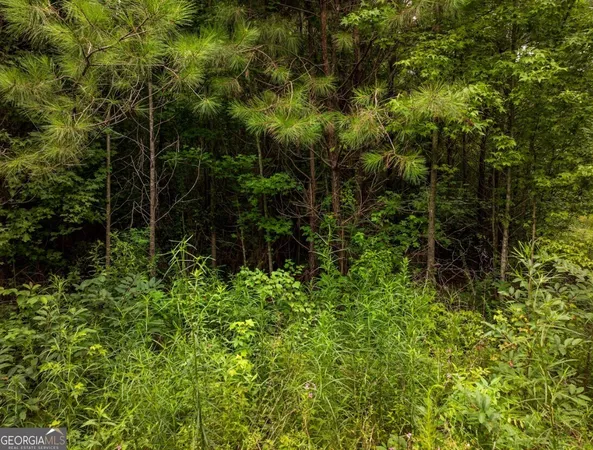 $42,500 | 0 Double Pond Trail, Unit TRACT 1, Hayden, AL 35079