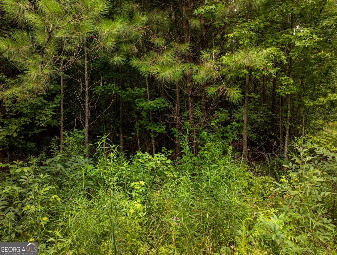 0 Double Pond Trail, Unit TRACT 1 Hayden, AL 35079 - Photo 18 of 24