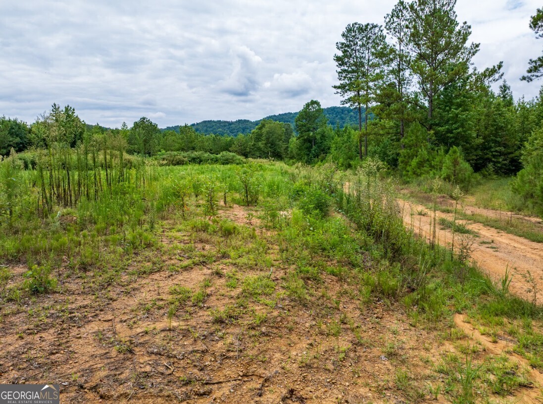 0 Double Pond Trail, Unit TRACT 1 Hayden, AL 35079 - Photo 19 of 24