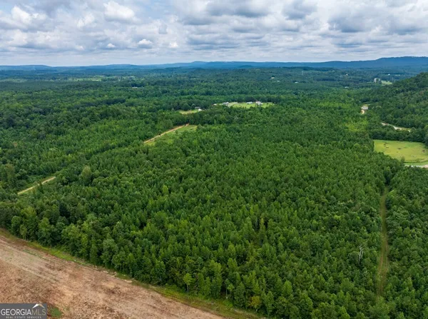 $42,500 | 0 Double Pond Trail, Unit TRACT 1, Hayden, AL 35079