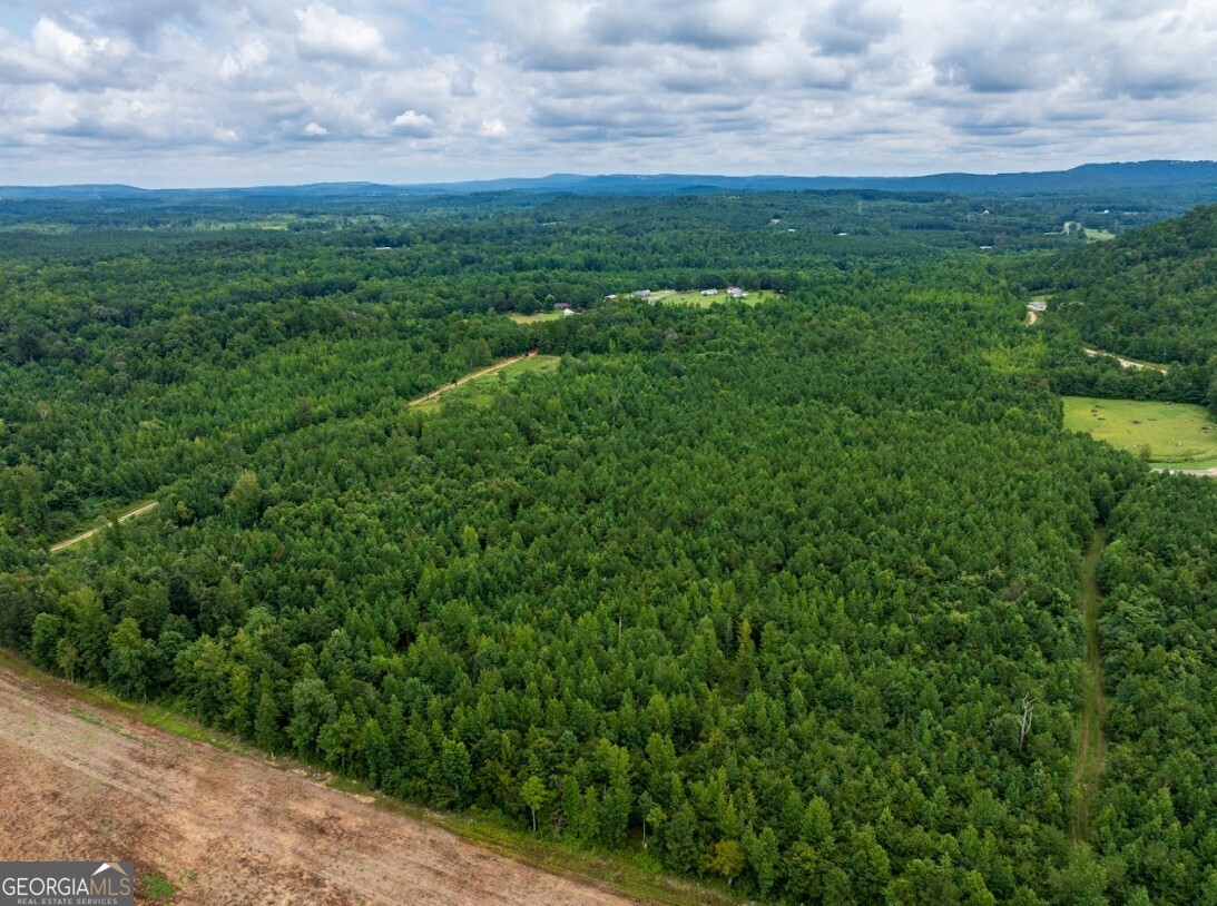 0 Double Pond Trail, Unit TRACT 1 Hayden, AL 35079 - Photo 2 of 24