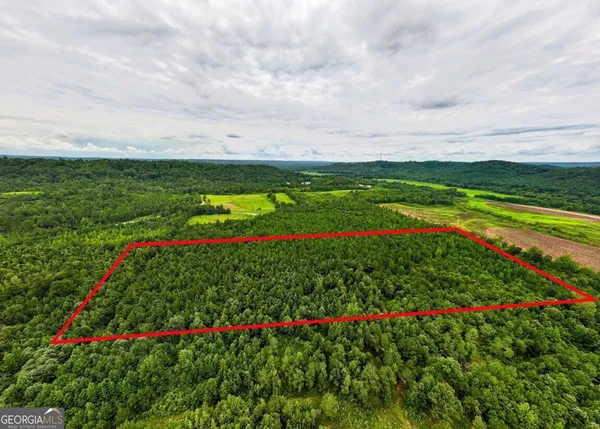 $42,500 | 0 Double Pond Trail, Unit TRACT 1, Hayden, AL 35079