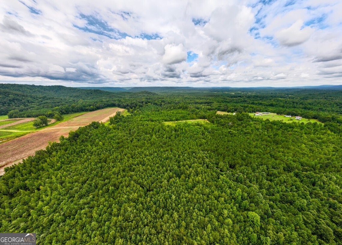 0 Double Pond Trail, Unit TRACT 1 Hayden, AL 35079 - Photo 3 of 24
