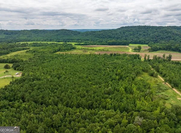 $42,500 | 0 Double Pond Trail, Unit TRACT 1, Hayden, AL 35079