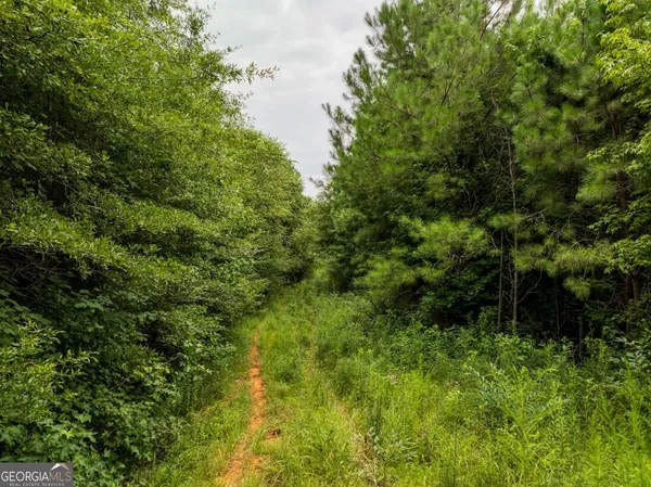 $42,500 | 0 Double Pond Trail, Unit TRACT 1, Hayden, AL 35079