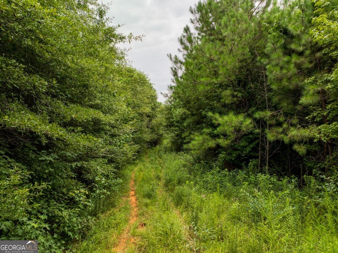 0 Double Pond Trail, Unit TRACT 1 Hayden, AL 35079 - Photo 5 of 24