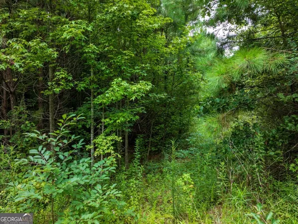 $42,500 | 0 Double Pond Trail, Unit TRACT 1, Hayden, AL 35079