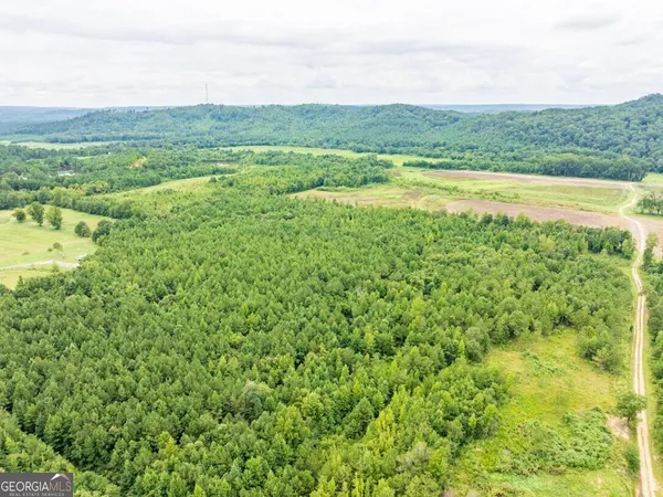 $42,500 | 0 Double Pond Trail, Unit TRACT 1, Hayden, AL 35079