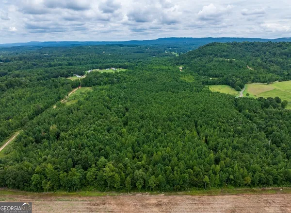 $42,500 | 0 Double Pond Trail, Unit TRACT 1, Hayden, AL 35079