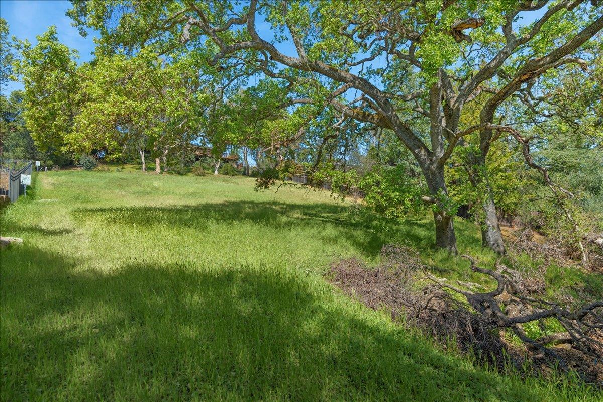0 Echo Loop San Jose, CA 95120 - Photo 12 of 26 a view of backyard with green space