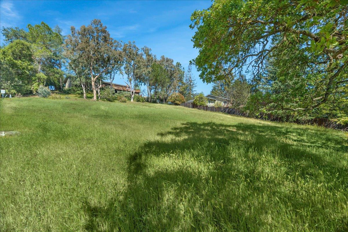 0 Echo Loop San Jose, CA 95120 - Photo 13 of 26 a view of a park that has large trees